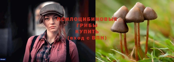 МДПВ Кинешма