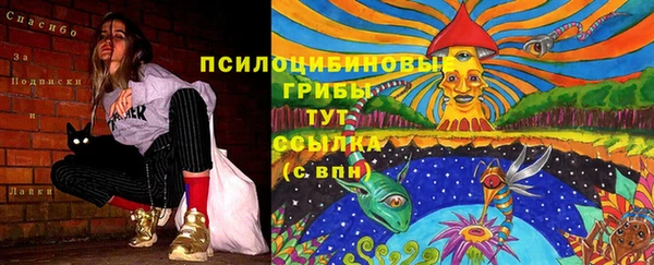 наркотики Карпинск