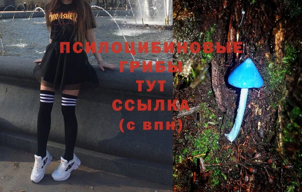 наркотики Карпинск