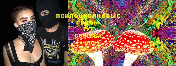 наркотики Карпинск