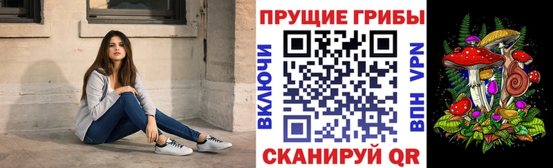 Купить закладки  Бакал  Псилоцибиновые грибы MAGIC MUSHROOMS 